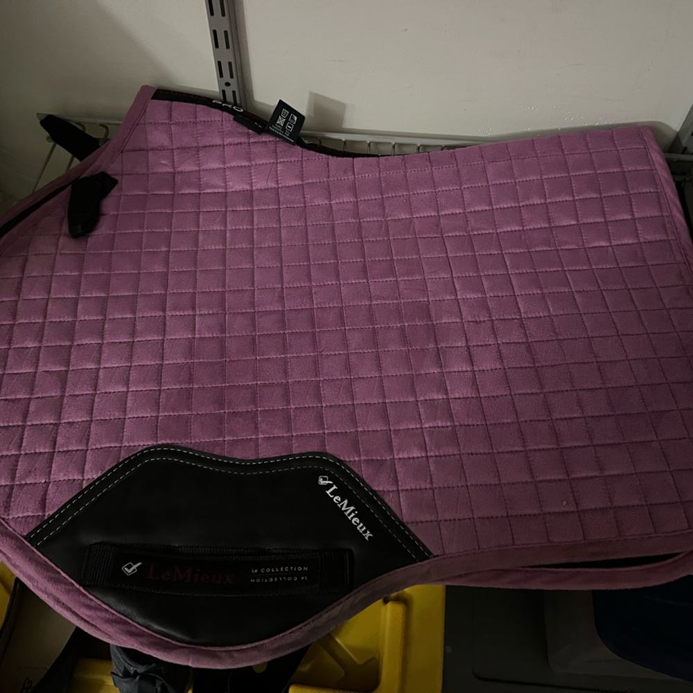 LeMieux Saddle Pad